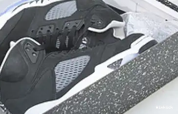 Jordan CT4838-011 Air 5 Oreo 0618